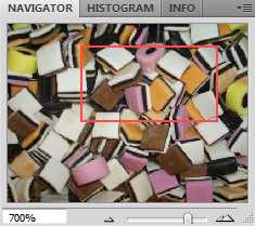 The Navigation Panel