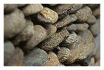 HDR_Stones_.jpg
