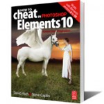 How_Photoshop_elements_10_David_Asch