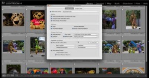 Heads Up! Getting Information in Lightroom